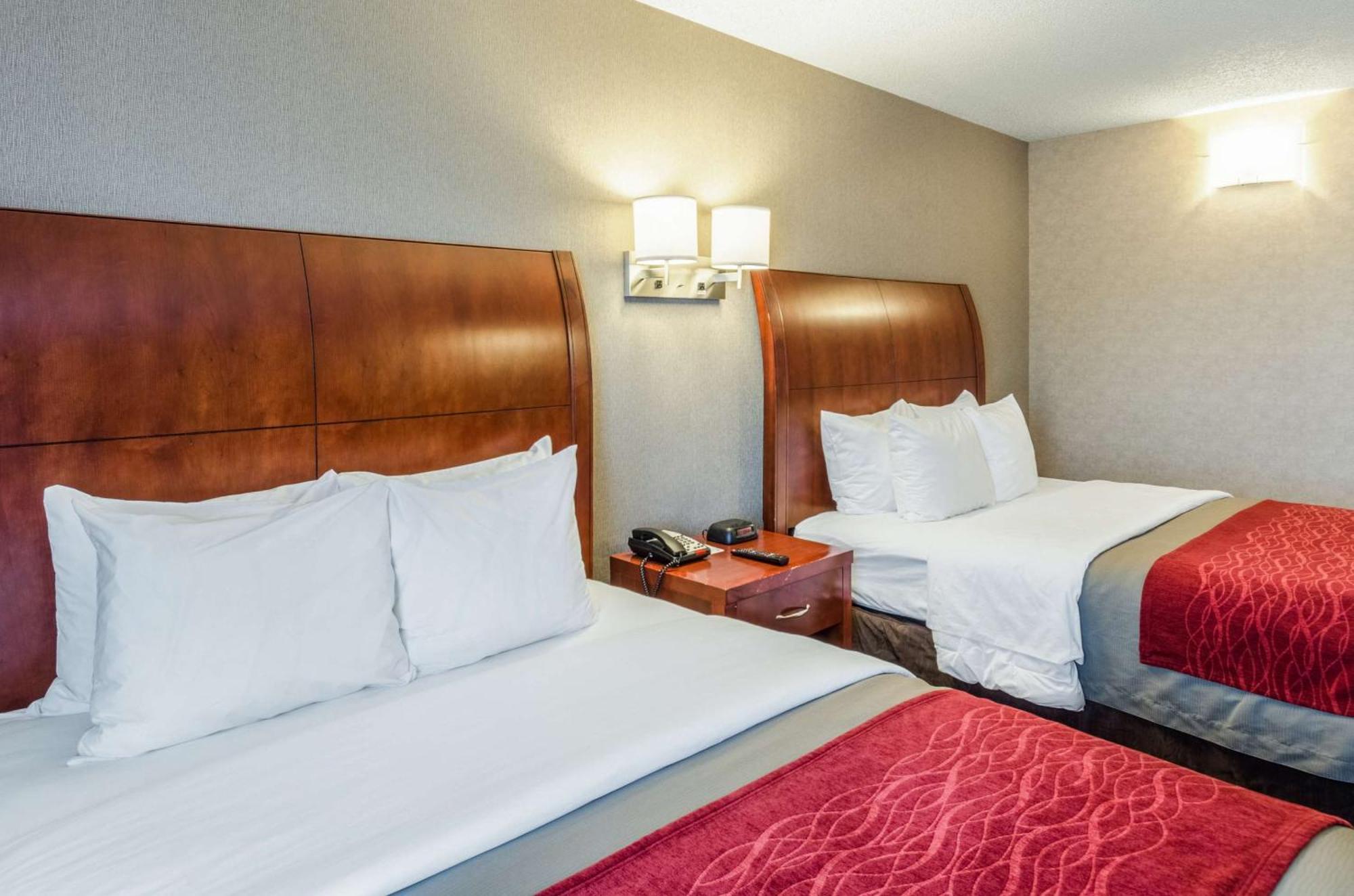 Comfort Inn & Suites West Springfield Εξωτερικό φωτογραφία